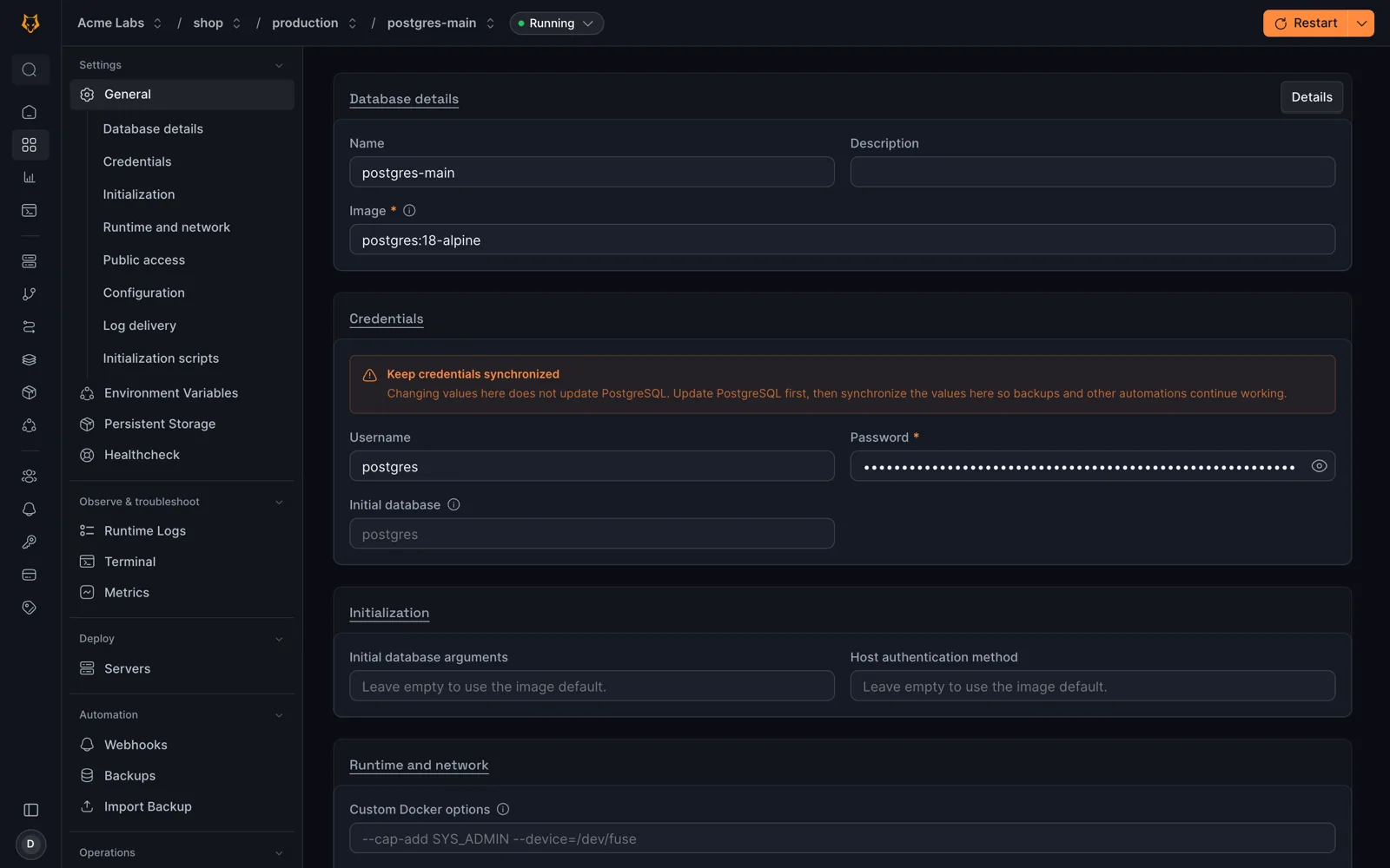 Konsolin tietokantanäkymä: PostgreSQL-tietokannan nimi, konttikuva ja tunnukset